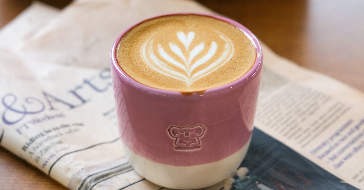 Pineconebean Cafe / Restaurant footer